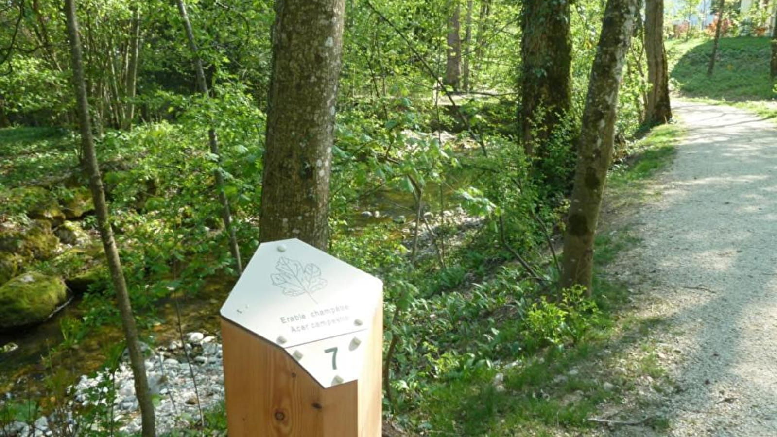 Promenade des Berges du Journans