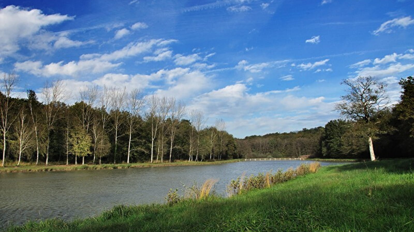 Mystérieuse Fougemagne