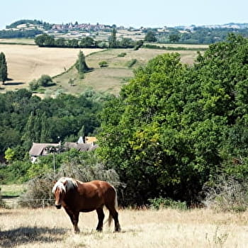 Parcours Découverte du Géorama - CULLES-LES-ROCHES