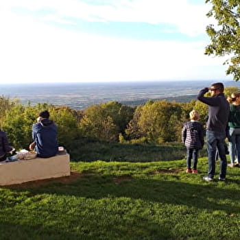 Circuit des Brosses au château des Allymes - AMBERIEU-EN-BUGEY