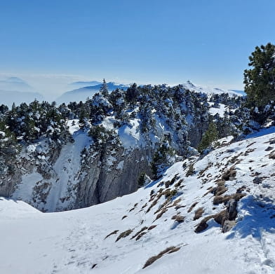 Sentier raquettes de Lélex au Crêt de la Neige