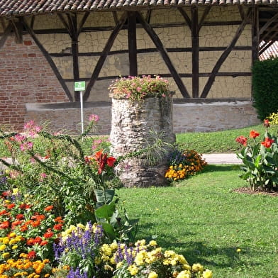 Circuit randonnée : La Ripalonga