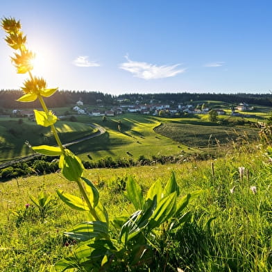 La Combe de Prénovel - 83V