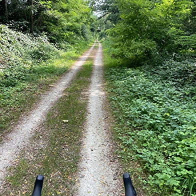 Chemin Vert