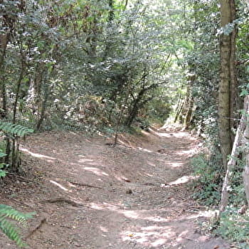 Circuit VTT 202 - Les Lapins - BRIGNAIS