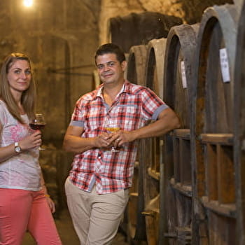 Domaine Pierre Richard par Vincent Richard - LE VERNOIS