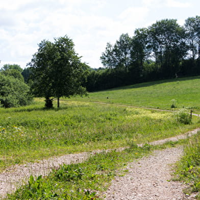 Lac de Fort-du-Plasne