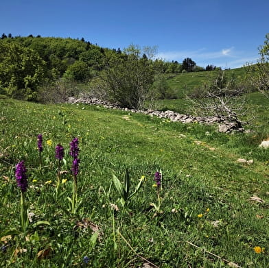 Randonnée des Crêtes de Sur Lyand