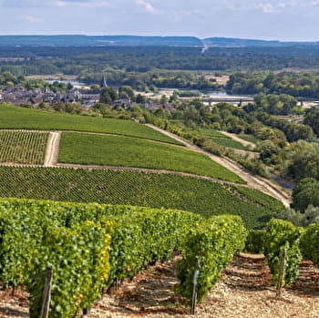 Un itinéraire gourmand au fil de la Loire - COSNE-COURS-SUR-LOIRE