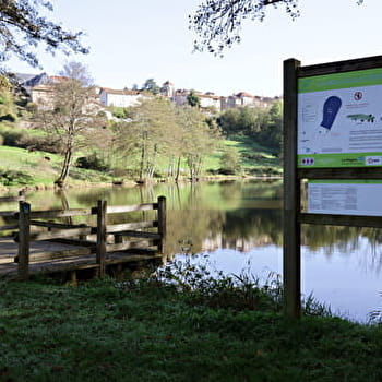 Itinéraire VTT : circuit 19 bleu, base Belmont-de-la-Loire - BELMONT-DE-LA-LOIRE
