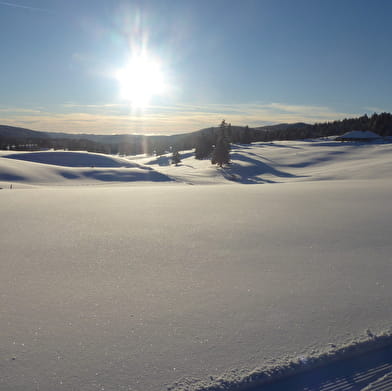 Sentier raquettes de l'Écureuil