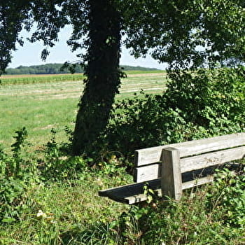 Chemin Vert - DEVECEY