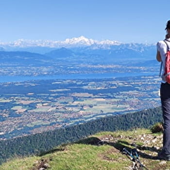 Randonnée itinérante : le balcon du Léman - LELEX