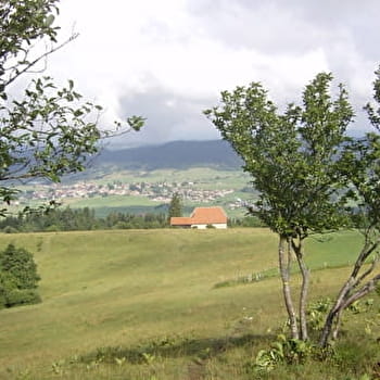 Le Crêt Moniot - ARC-SOUS-CICON