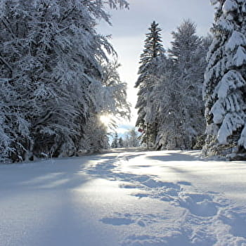 Sentier raquettes de l'Écureuil - MIJOUX