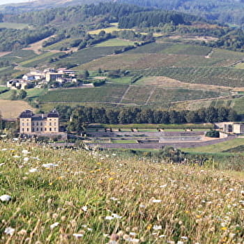 Circuit Champignon - JULLIE