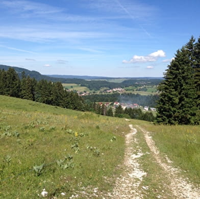 Entre-les-Fourgs par la forêt