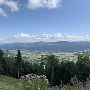 Randonnée - Sur les pentes de l'avocat - VIEU-D'IZENAVE