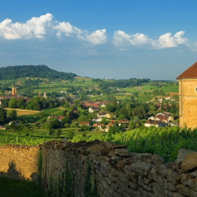 Tour du Jura Vélo Loisirs – Option Gravel : Port-Lesney – Poligny