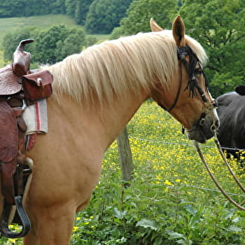 Vallée Rocheuse - MAUVILLY