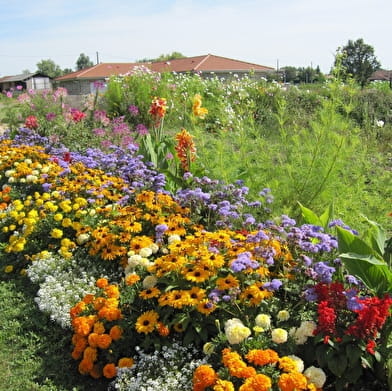 Circuit randonnée : A la recherche des cheminées sarrasines