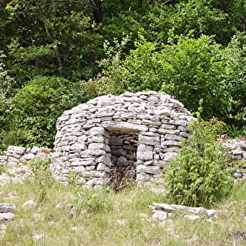 De la Croix de Mission à la Vierge Noire - BLIGNY-SUR-OUCHE