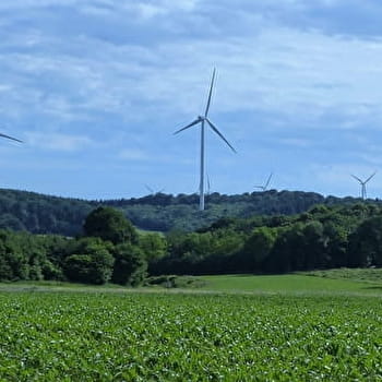 Sentier de découverte des éoliennes de Fontenelle-Montby - FONTENELLE-MONTBY