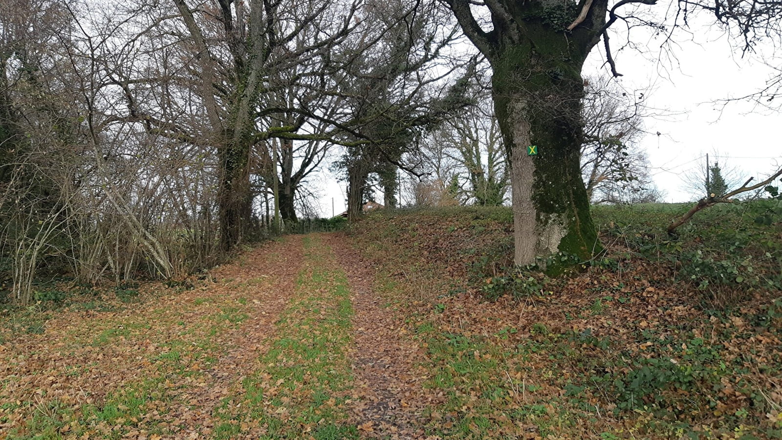 Sur les chemins de St Didier d'Aussiat (Version courte)