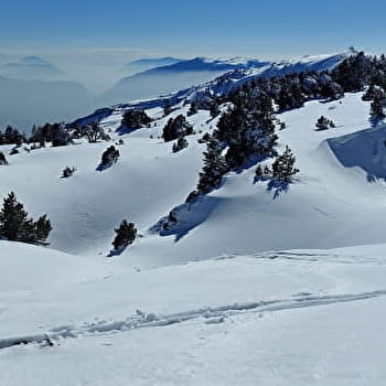 Sentier raquettes : du Télécabine du Fierney au Crêt de la Neige - CROZET
