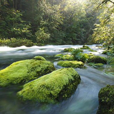 Source de l’Ain et cascade du Moulin du Saut