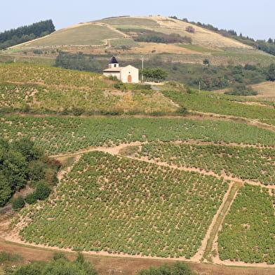 Circuit de Chiroubles