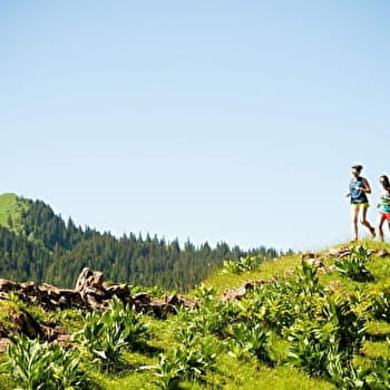 Les Hautes Combes - 19N - LES BOUCHOUX