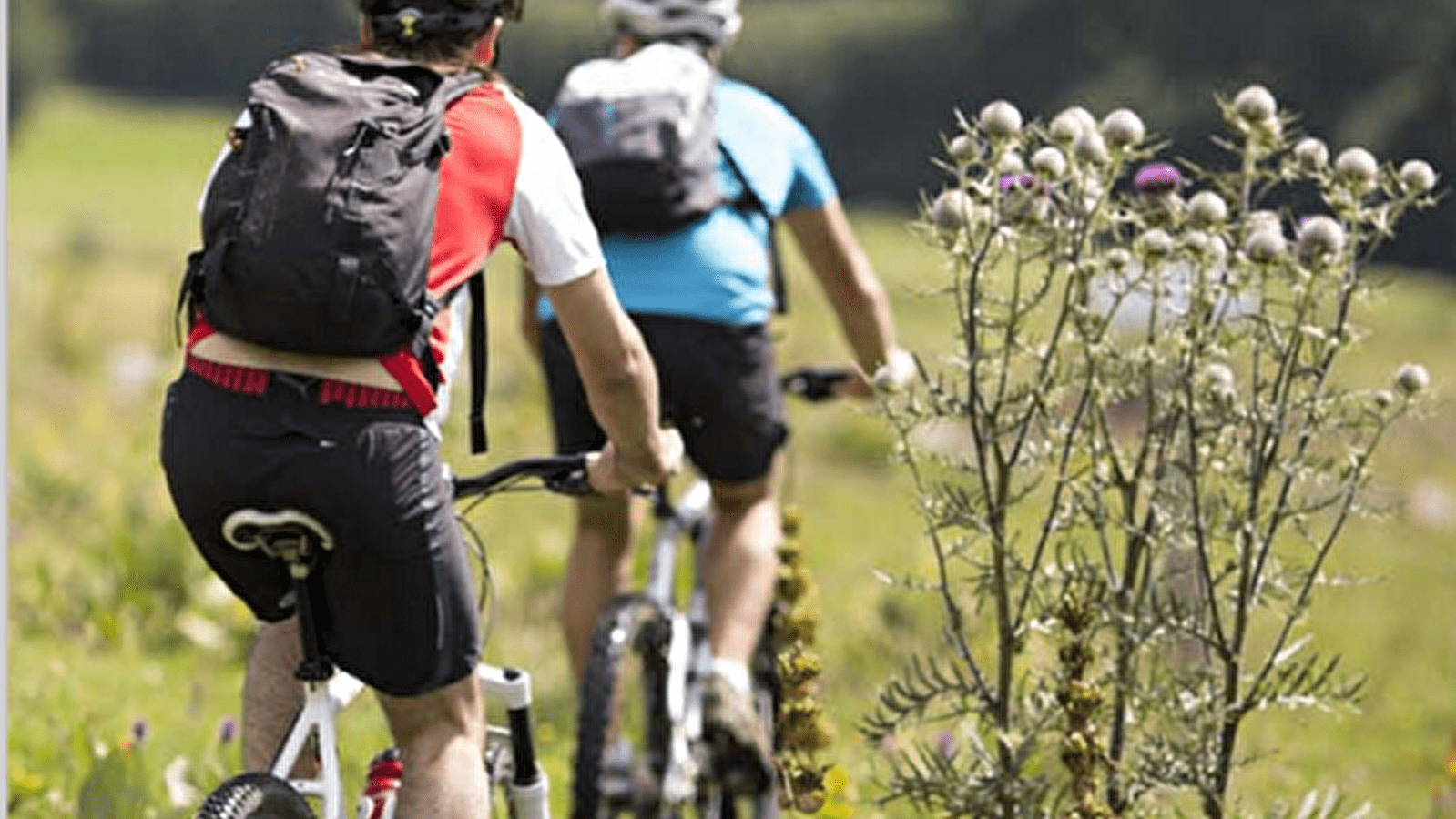 Les Chemins de la Contrebande - Les Gabelous (VTT)