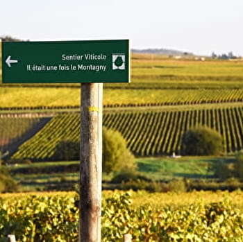 Sentier Viticole du Montagny - MONTAGNY-LES-BUXY