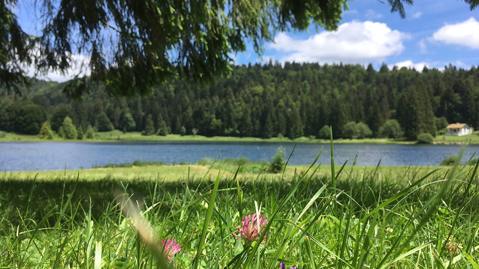 Parcours VTT 67 vert - Lac Genin et les hauts de Charix - Espace FFC Ain Forestière