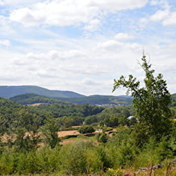 Voie celte Laizy - LAIZY