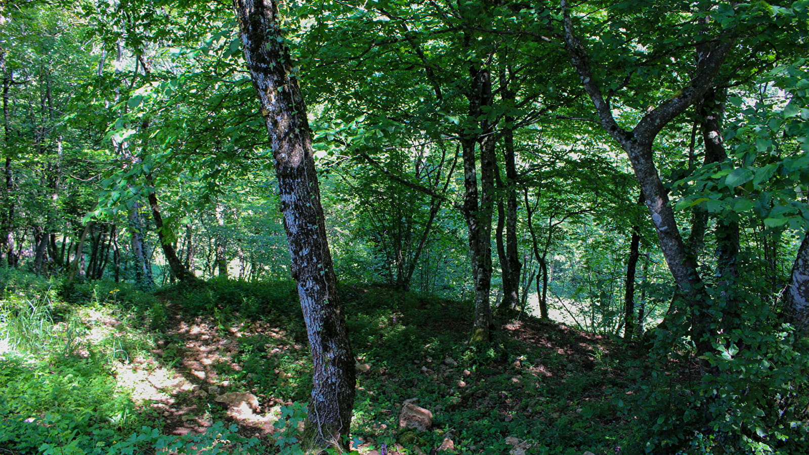 Le grand tour d'Ambérieu