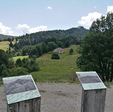 Les trésors cachés de la GTJ - Sur la route du Crêt de Chalam