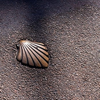 V56 - Saint-Jacques à vélo - VEZELAY