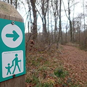 Réserve naturelle nationale de La Truchère-Ratenelle - LA TRUCHERE