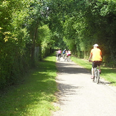 Decize - La Machine par l'étang Grenetier