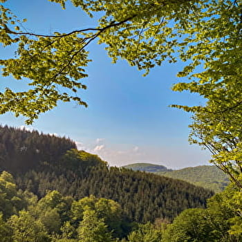 Circuit de randonnée : Nid au vautour - PLANCHEZ