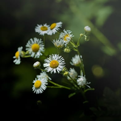 Randonnée pédestre : la pierre à Baptiste