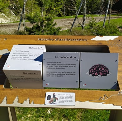 Sentier thématique : secret des plantes