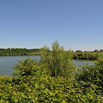 Micro aventure Lône du Val de Saône - BELLEVILLE-EN-BEAUJOLAIS