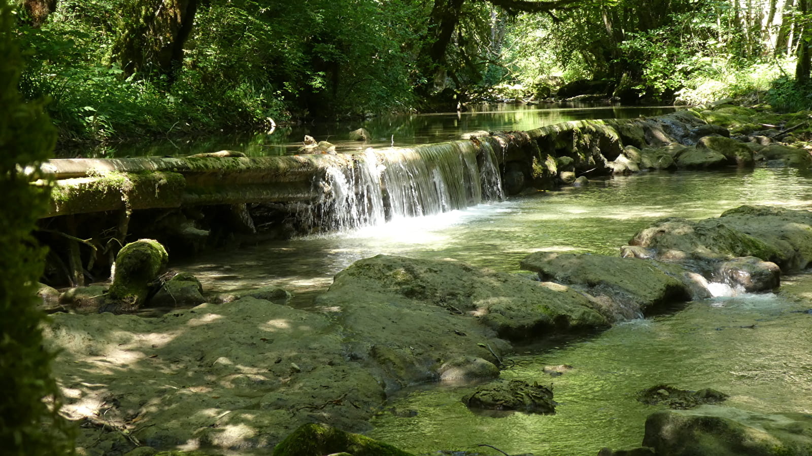 Sentier de balade : la Pernaz sauvage
