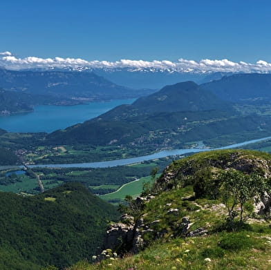 Randonnée pédestre : boucle des alpages du Grand Colombier