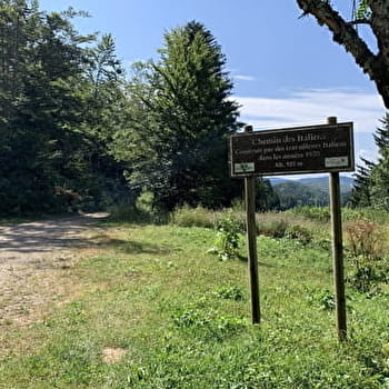 Randonnée - Le chemin des Italiens - APREMONT