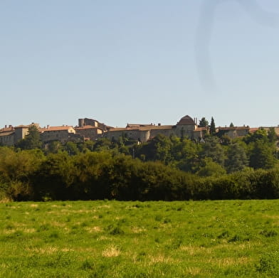 GR® de Pays - Beaujolais-Bugey par la Dombes