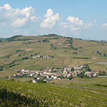 Circuit de la Montagne de Remont - JULIENAS